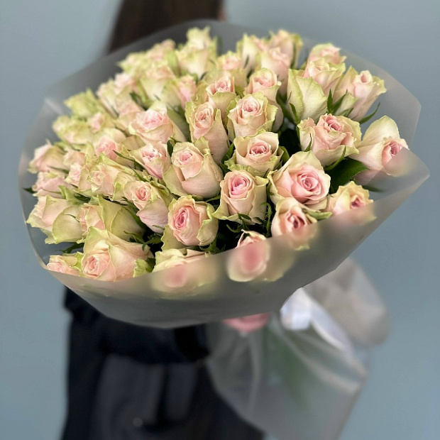 51 розовые розы кения   3